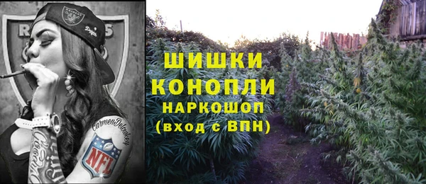 мяу мяу мука Аркадак