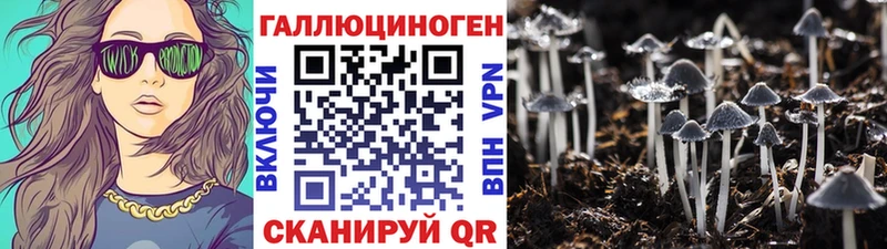 Псилоцибиновые грибы прущие грибы Канаш